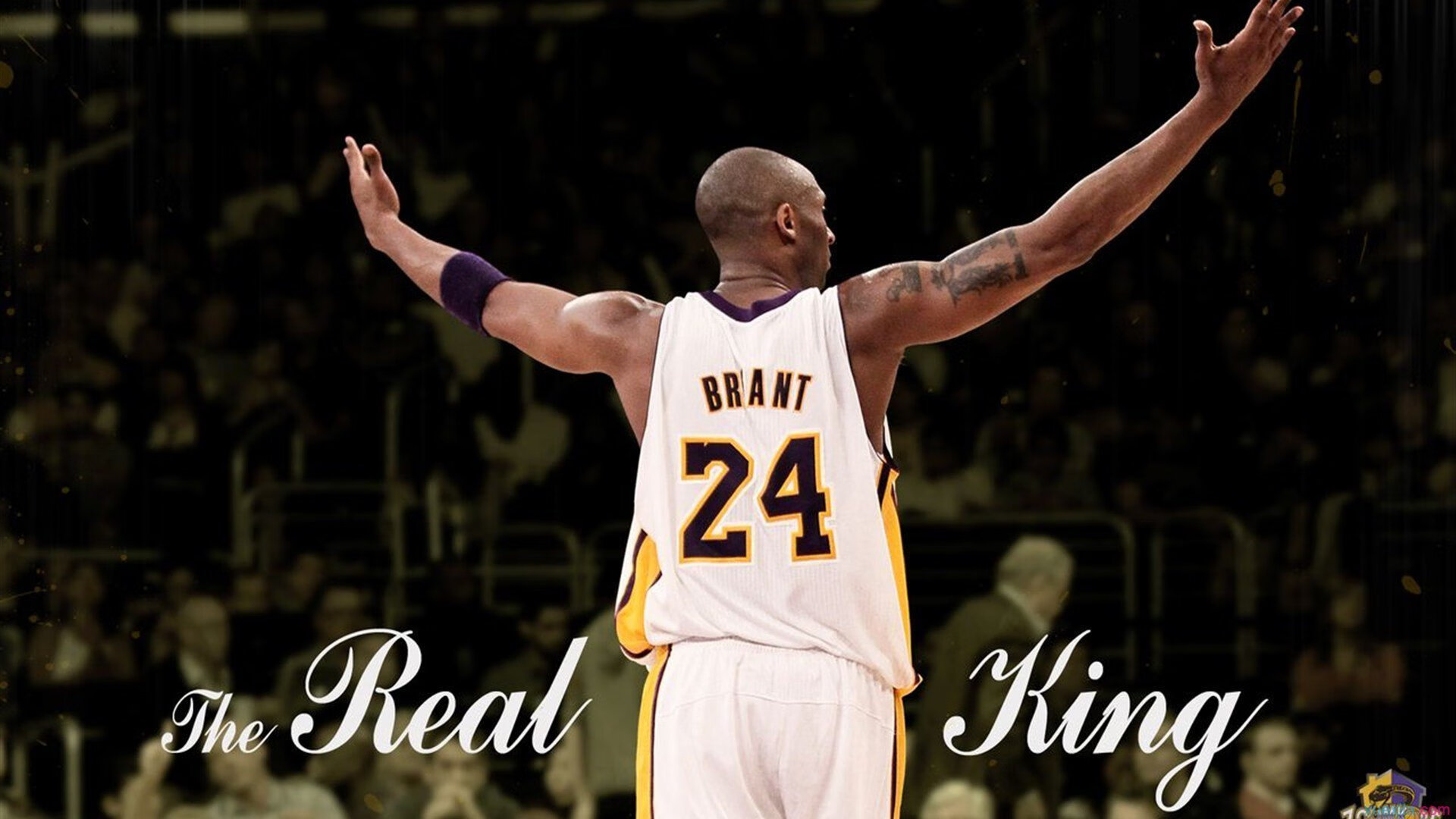 北境封喉，猛龙抢七鏖战终结马刺王朝余晖